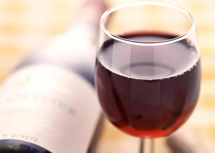 Hotel Ibis Reduta 3*